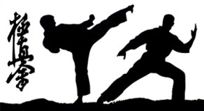karate szczecin